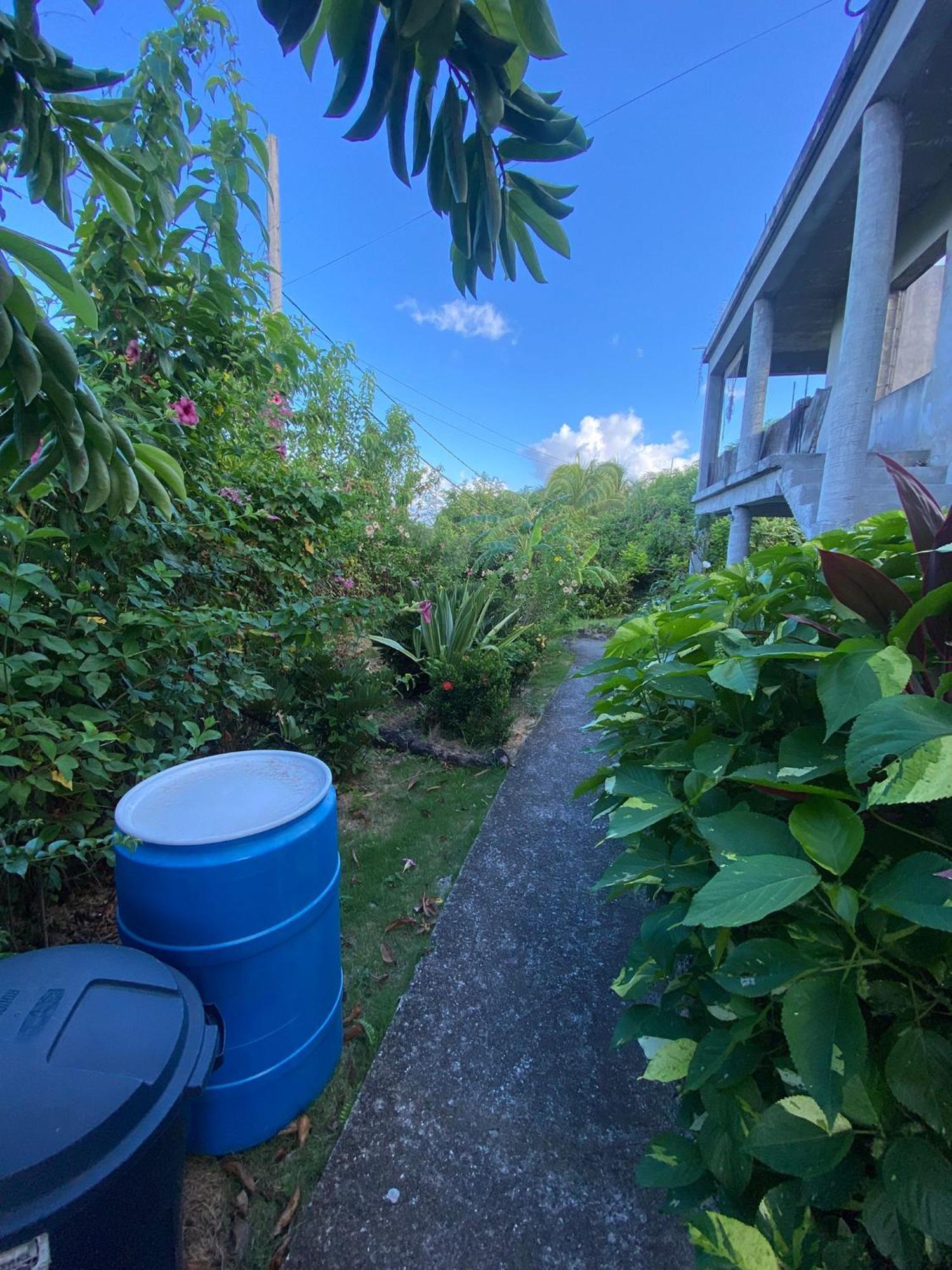 Coconut House Charlestown Nevis Exterior foto