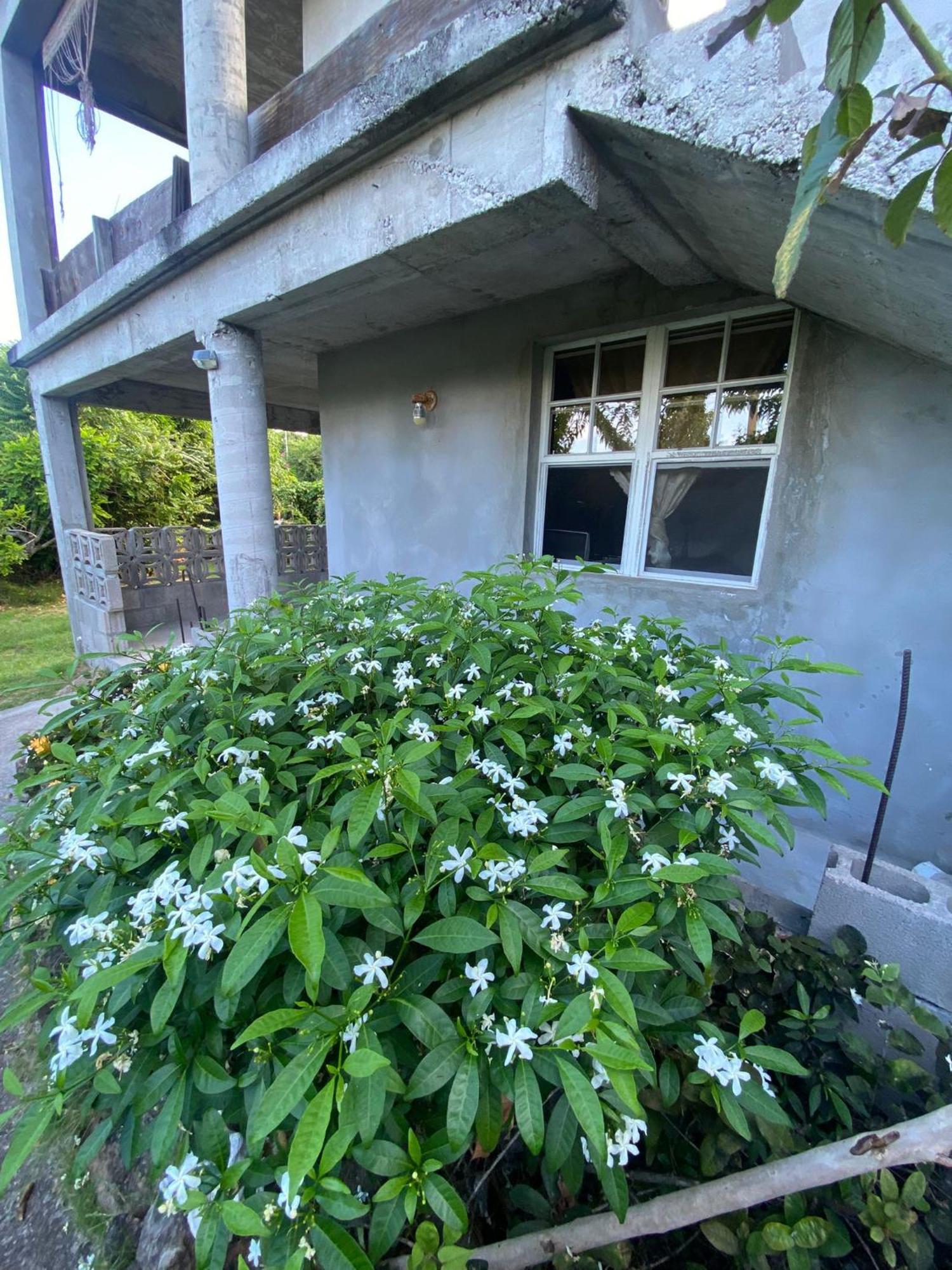 Coconut House Charlestown Nevis Exterior foto