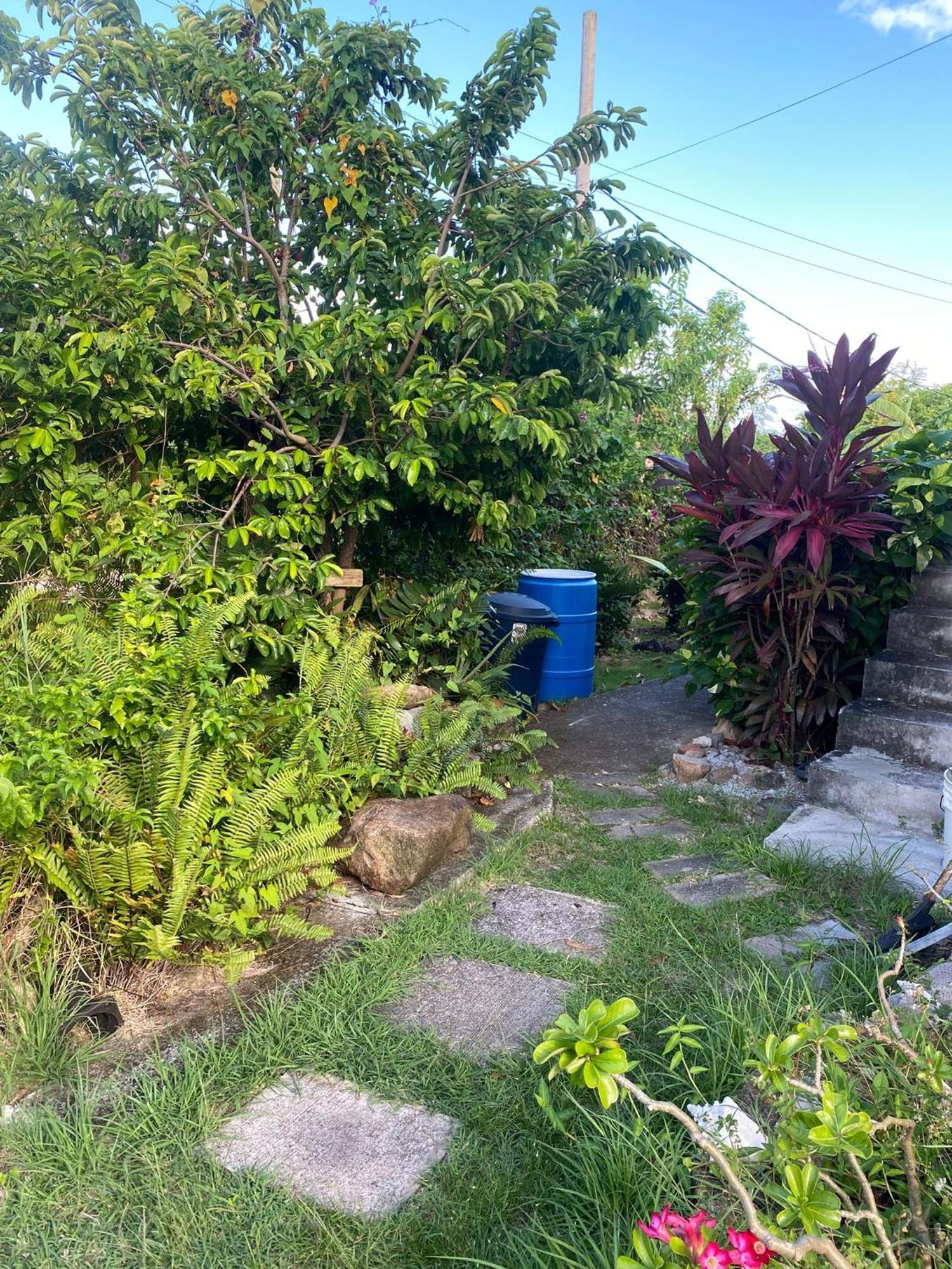 Coconut House Charlestown Nevis Exterior foto